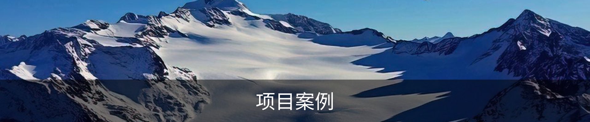 项目案例
